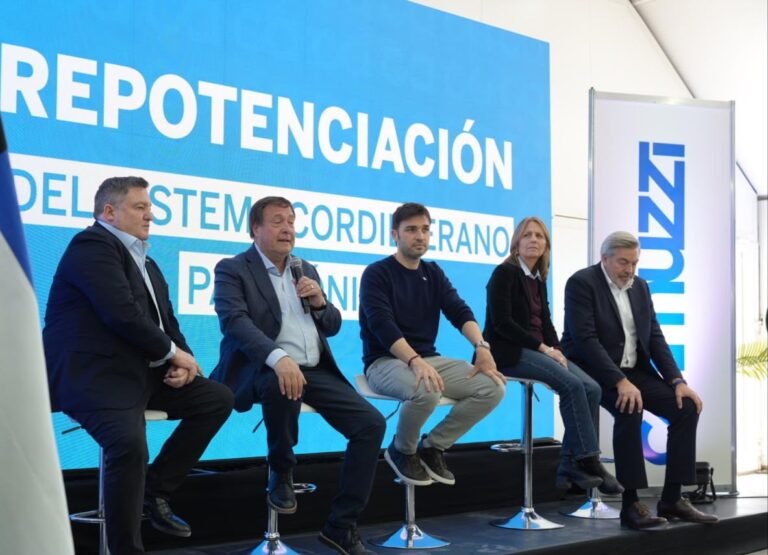 Gas Camuzzi :obras de repotenciación del *Sistema Cordillerano-Patagónico*